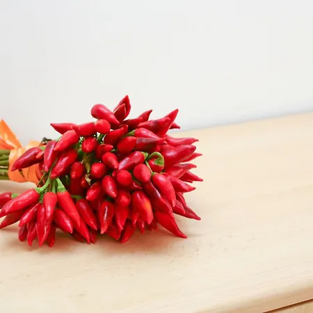 Helle Mediterrane Mit Veranda Und Garten By Interhome Hébergement de vacances *